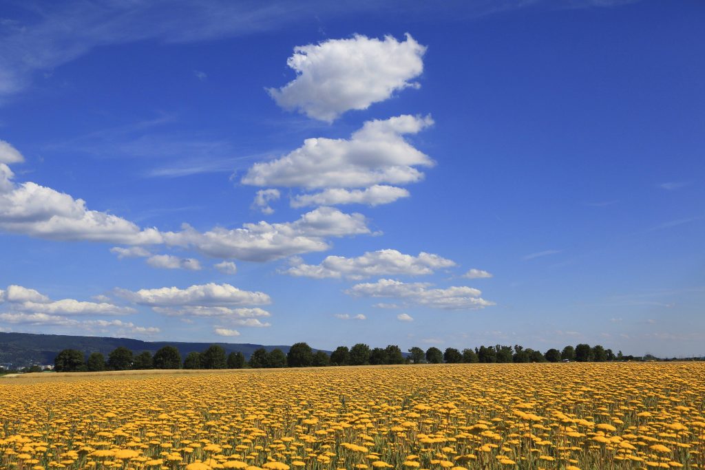 Warum Ist Der Himmel Blau? Einfach Erklärt - Futurezone