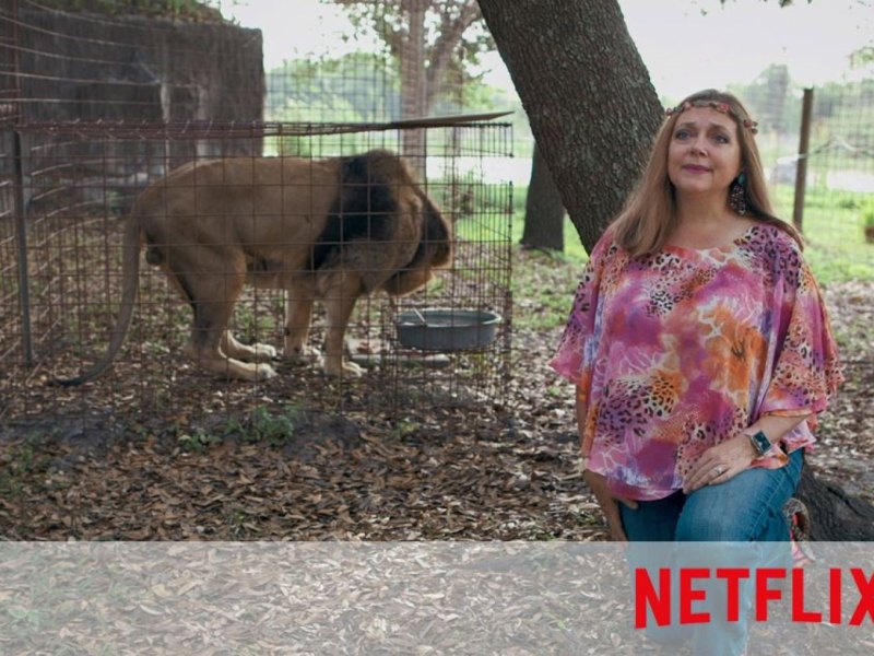 Carole Baskin in Tiger King auf Netflix