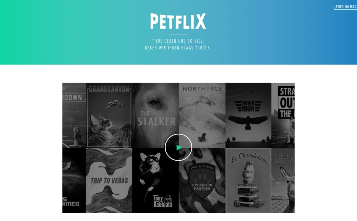 Hinter Petflix steckt die Tierschutzorganisation "Tier im Recht"