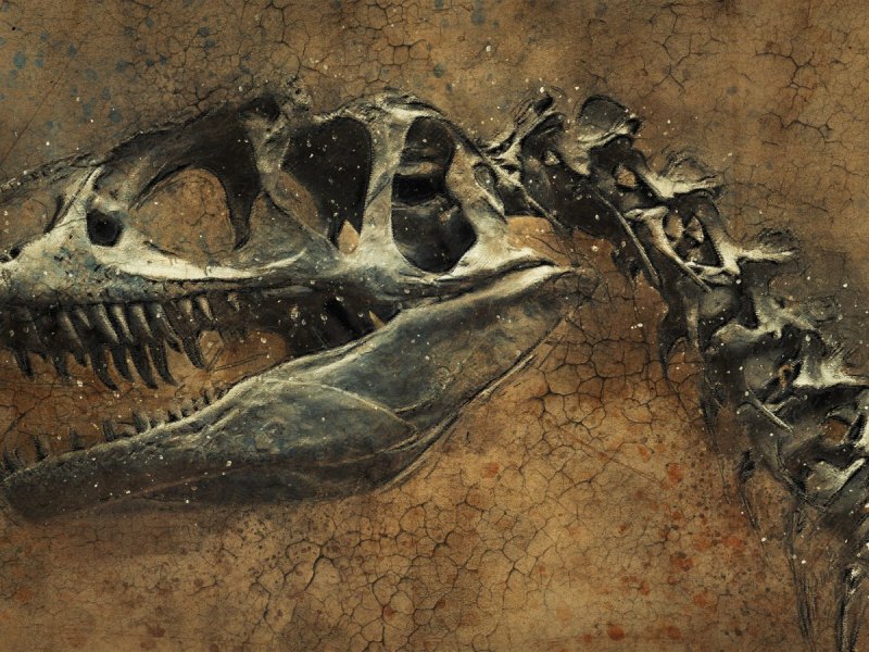 Dinosaurierfossil