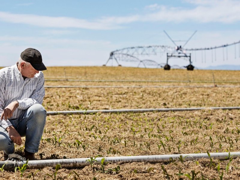 Ein Farmer auf dem Feld.