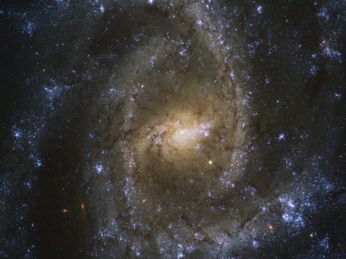 Die Spiralgalaxy NGC 2835