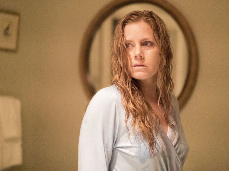 the woman in the window auf netflix amy adams