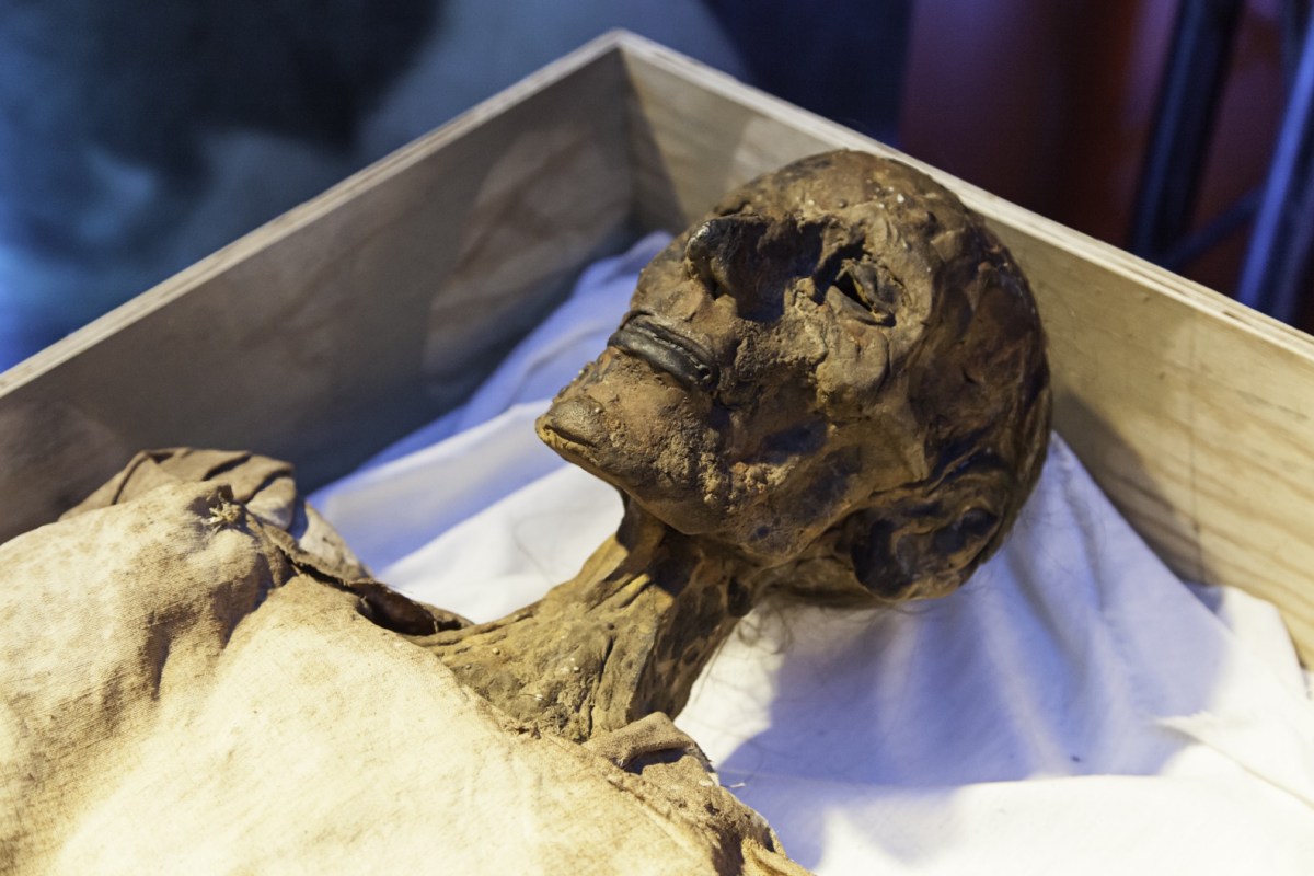 historische Mumie