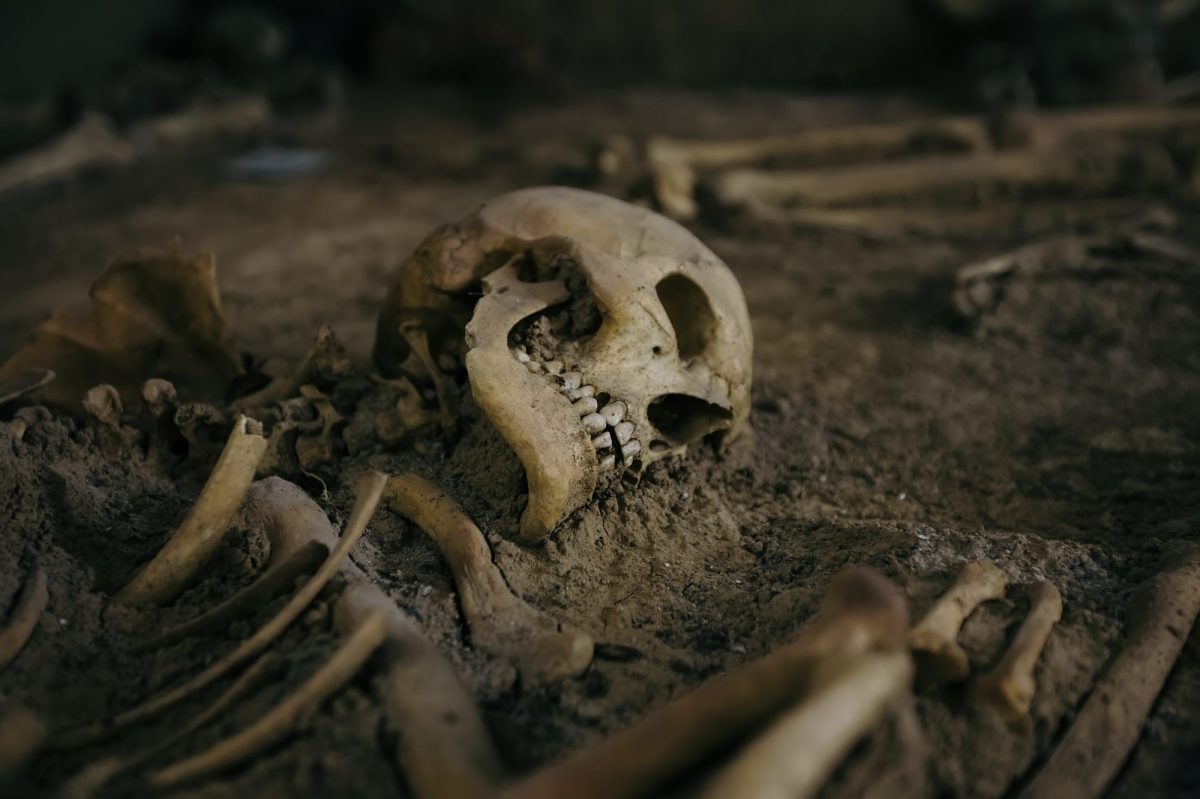 Ein begrabenes menschliches Skelett.