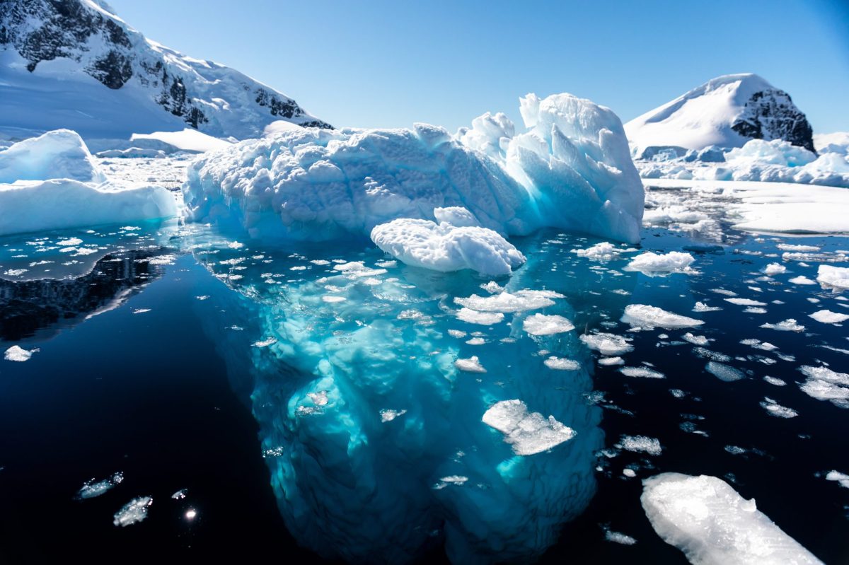 Nahaufnahme auf schwimmendes Eis in der Antarktis.