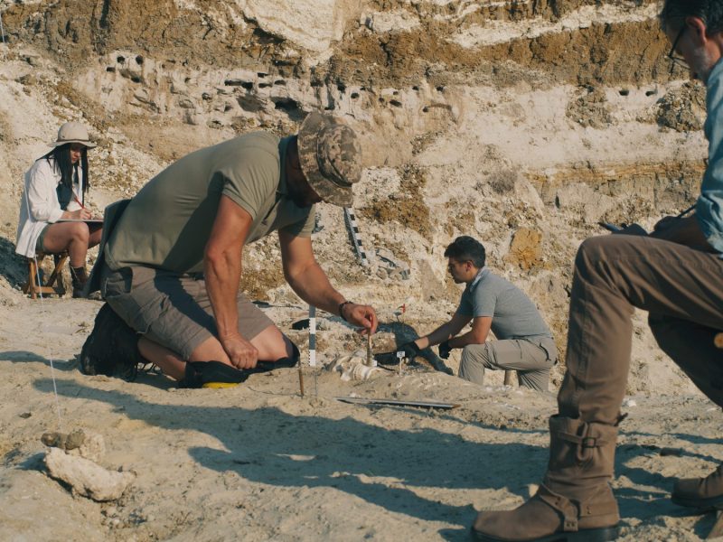 Team aus Forschern untersucht einen archäologischen Fund.