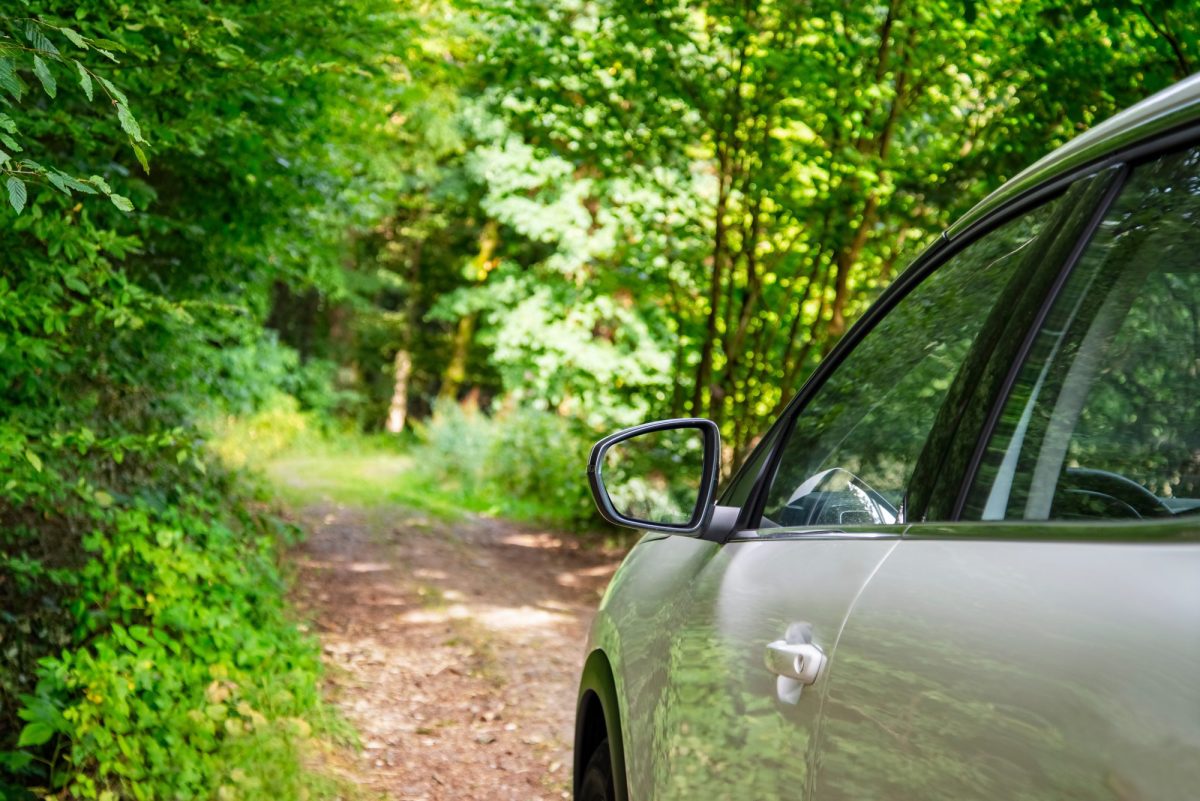 Seitenansicht eines Autos, das auf einem Waldweg steht.