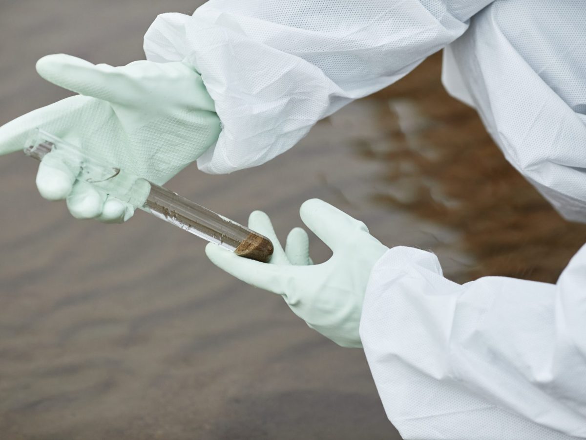 Ostsee: Erschreckender Fund im Wasser – Forscher sprechen Warnung aus