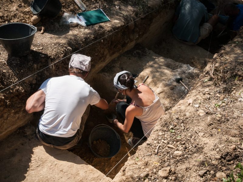 Mehrere Menschen graben an einem archäologischen Fund.