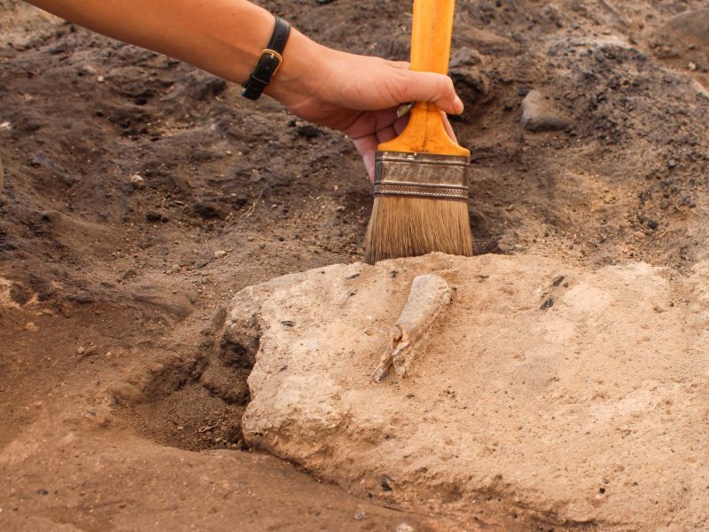 Person arbeitet mit Pinsel an einem archäologischen Fund.