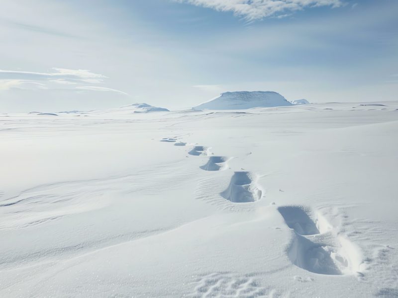 Fußspuren im Schnee. Im Hintergrund ist eine arktische Landschaft zu sehen.