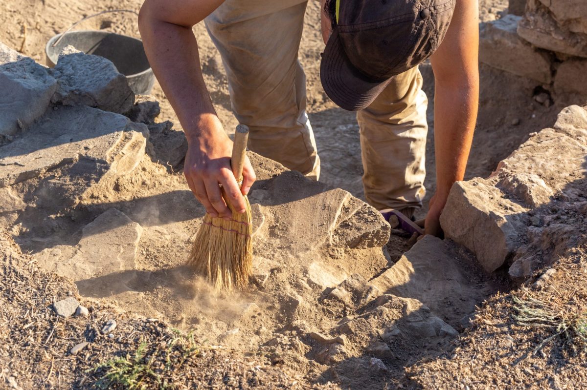 Mann gräbt an einem archäologischen Fund.