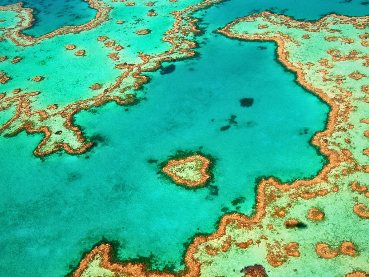 Great Barrier Reef von oben