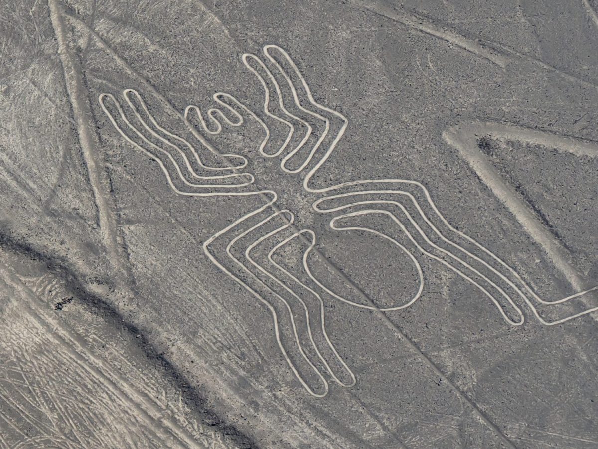 Nazca-Linien-Bild im Wüstenboden von Peru. Es hat die Form einer Spinne.