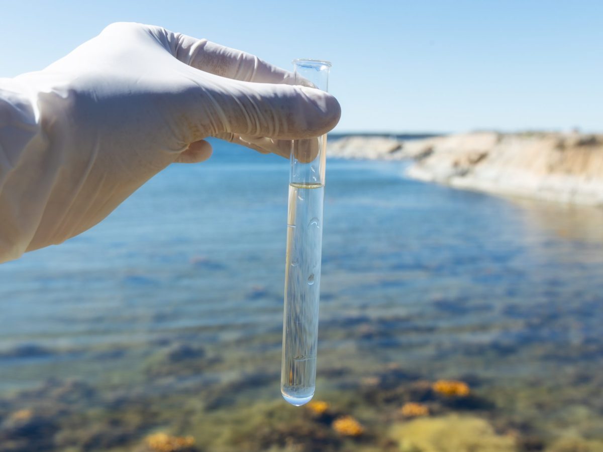 Eine Hand hält eine Wasserprobe in einem Glasröhrchen. Im Hintergrund ist ein Ostseestrand zu sehen.