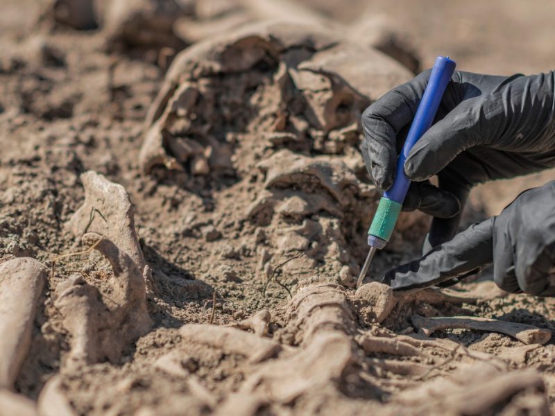 Hände arbeiten an einem archäologischen Fund