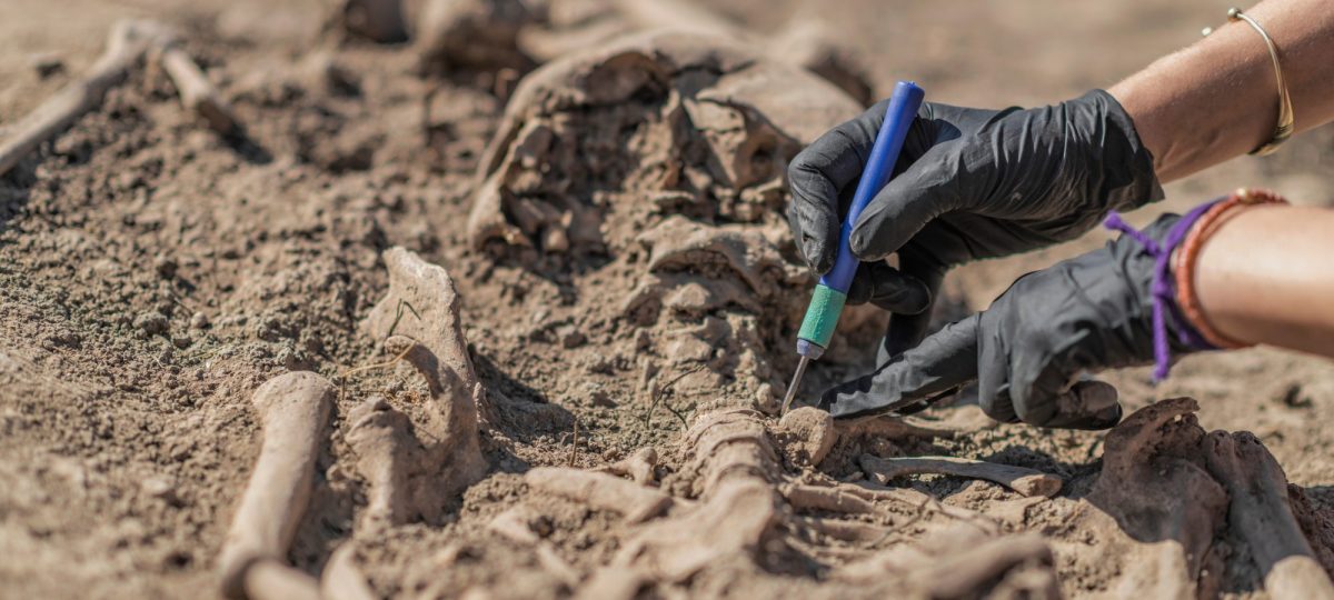 Hände arbeiten an einem archäologischen Fund