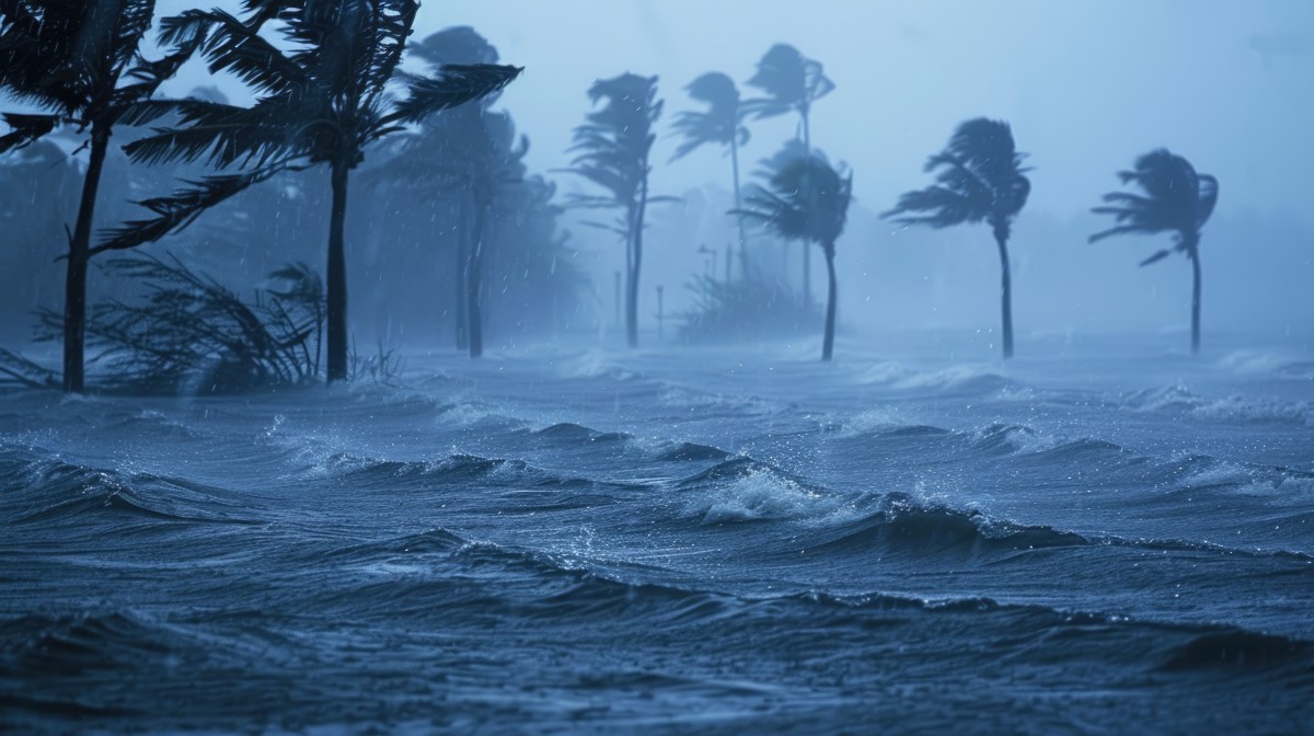 Sturm an einem Palmenstrand.