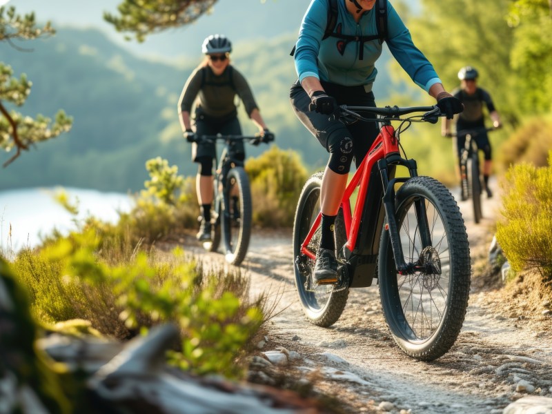 Personen auf E-Bikes fahren auf einem Waldweg.