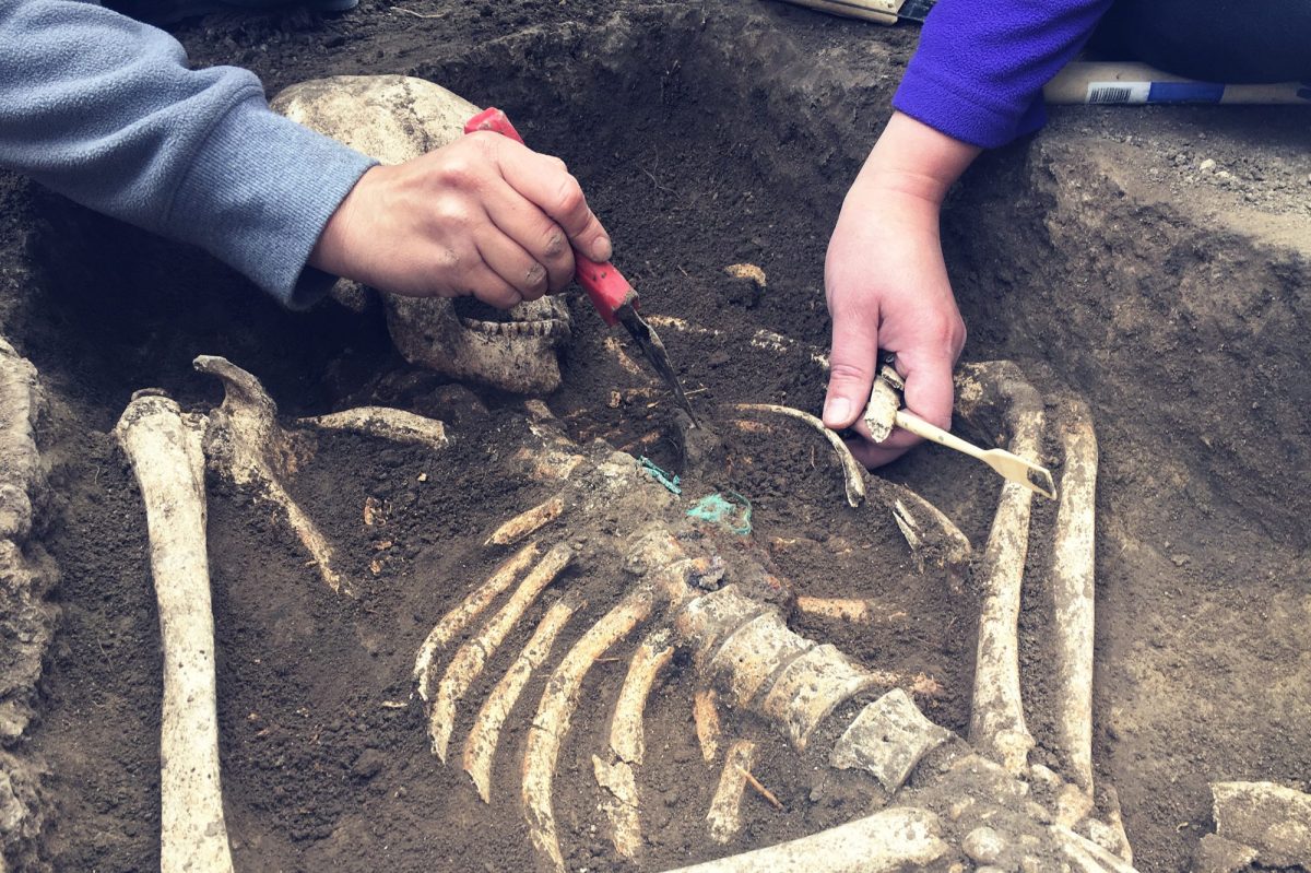 ArchÃ¤ologischer Fund wird von Forscher*innen untersucht.