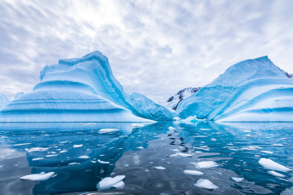 Eisberge treiben im Wasser der Antarktis