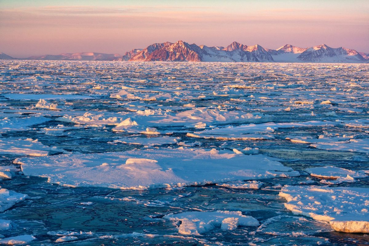 Eisschollen treiben auf dem Meer.